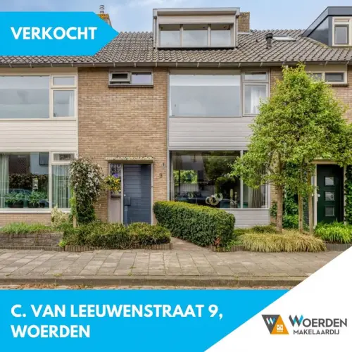 social